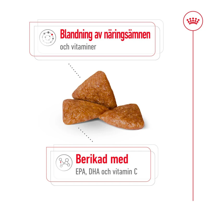 X-Small Ageing 12+ Ageing Torrfoder för hund