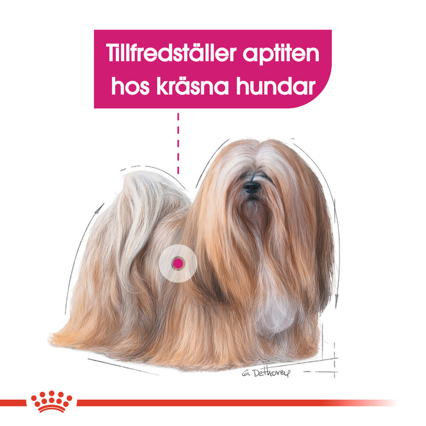 Exigent Adult Mini Torrfoder för hund