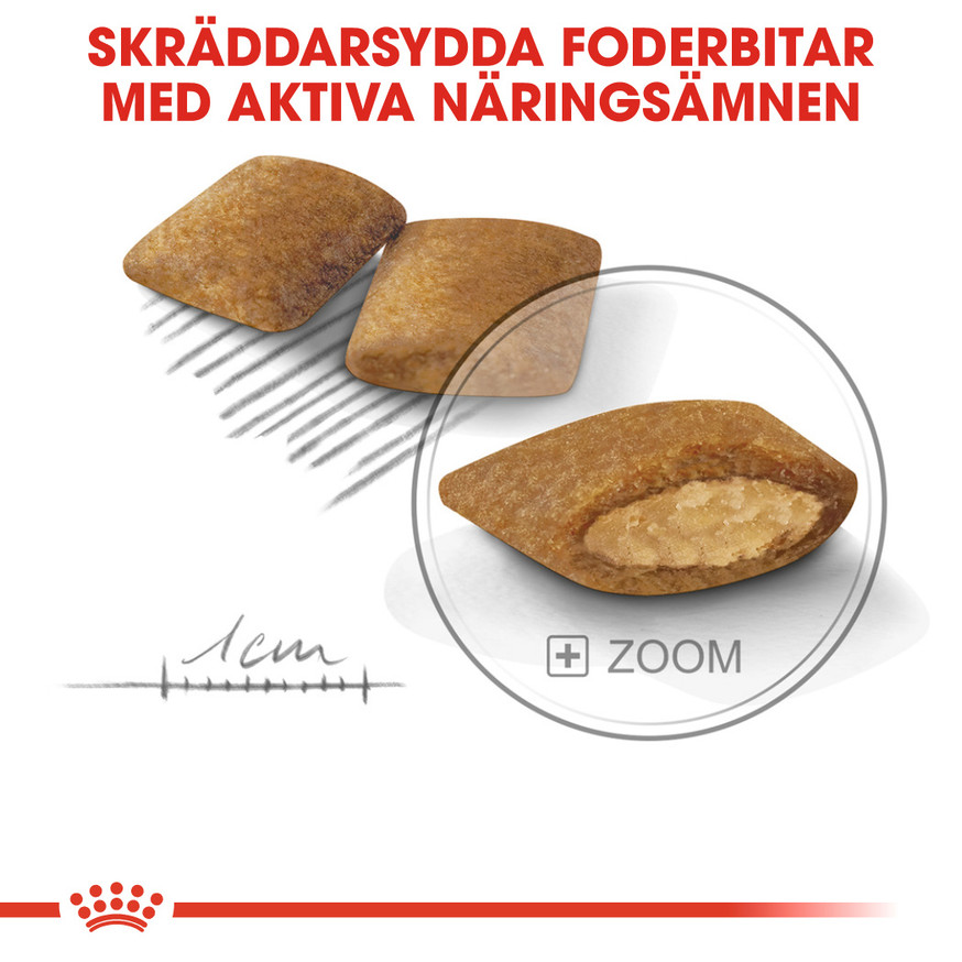 Exigent Adult Mini Torrfoder för hund