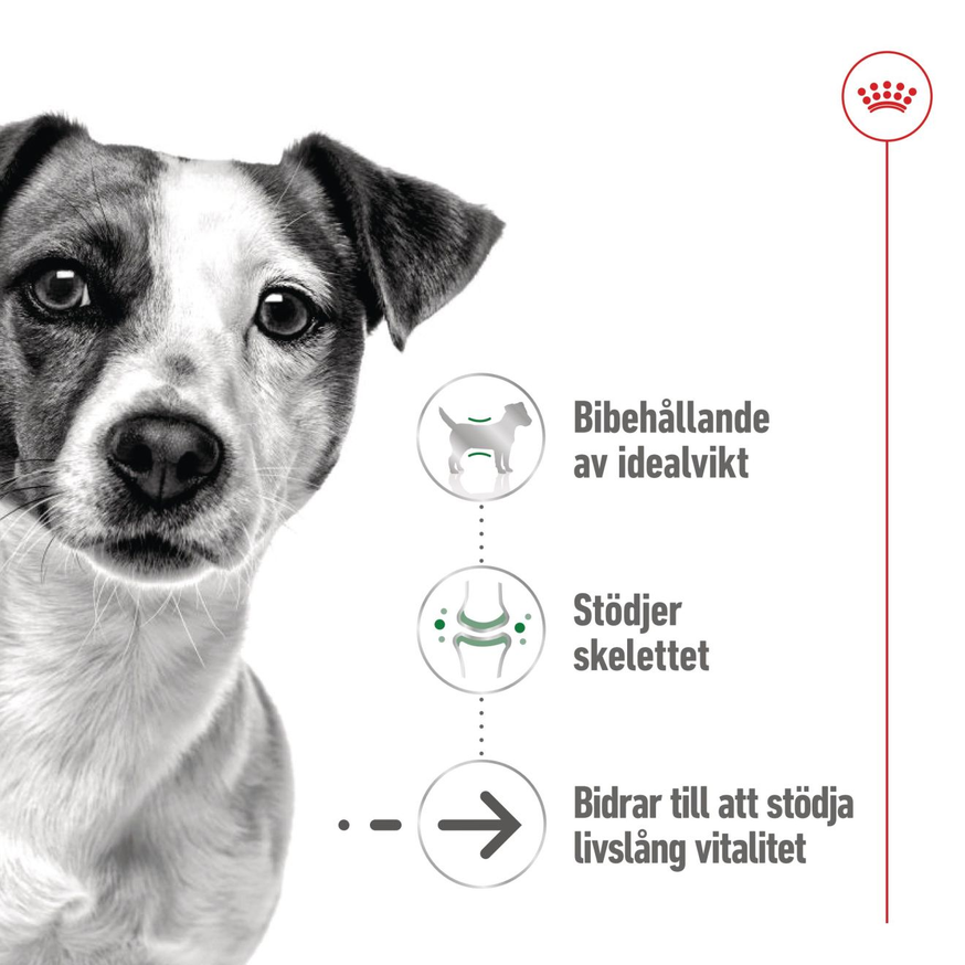 Mini Ageing Våtfoder för hund