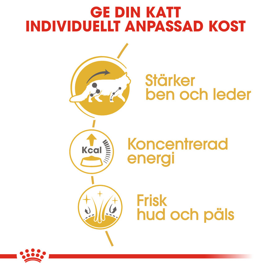 Maine Coon Adult Våtfoder för katt