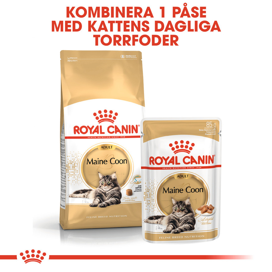 Maine Coon Adult Våtfoder för katt