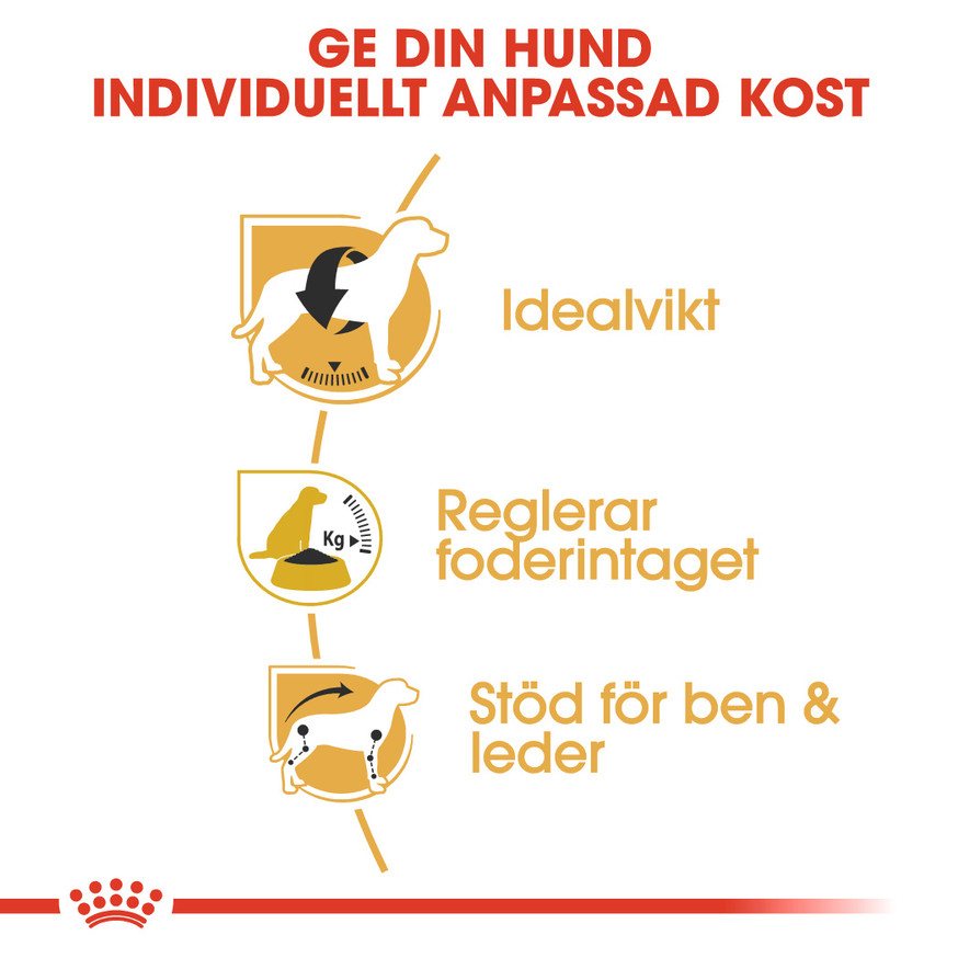 Beagle Adult Torrfoder för hund