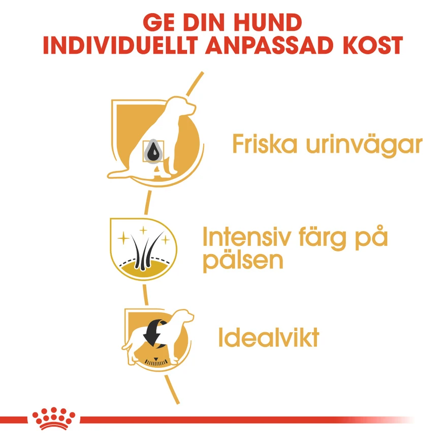Miniature Schnauzer Adult Torrfoder för hund