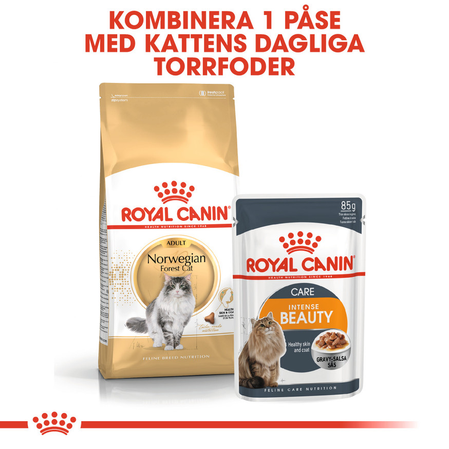 Norwegian Forest Adult Torrfoder för katt