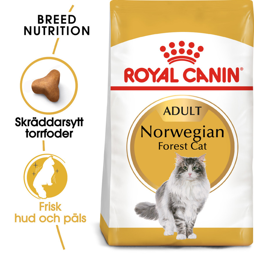 Norwegian Forest Adult Torrfoder för katt