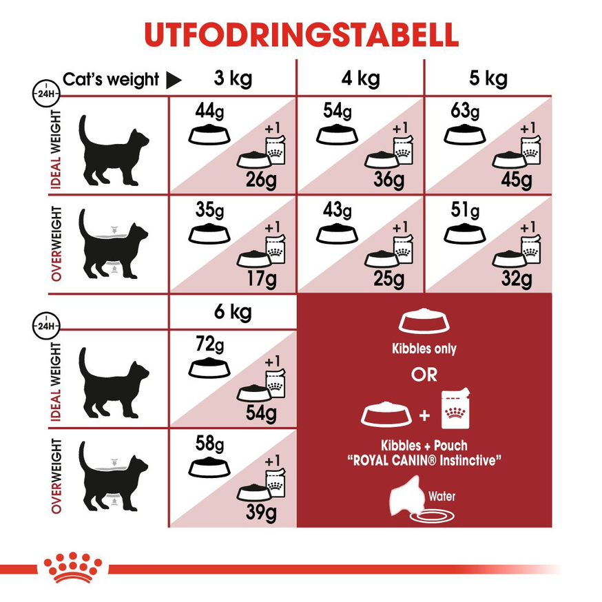 Fit Adult Torrfoder för Katt
