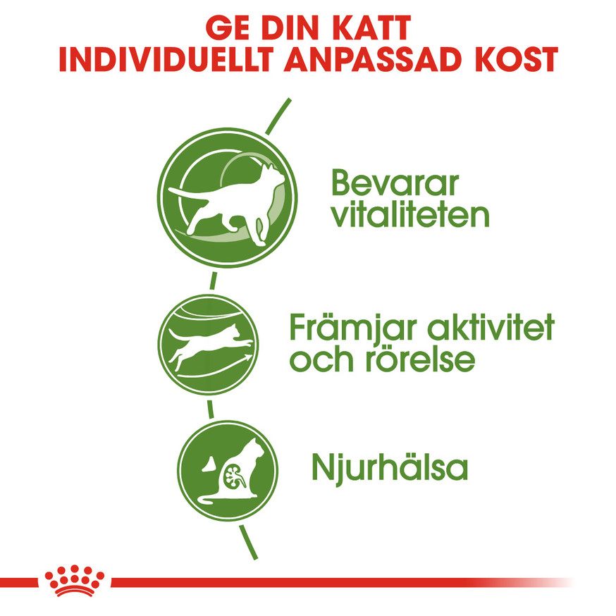 Outdoor 7+ Ageing Torrfoder för katt