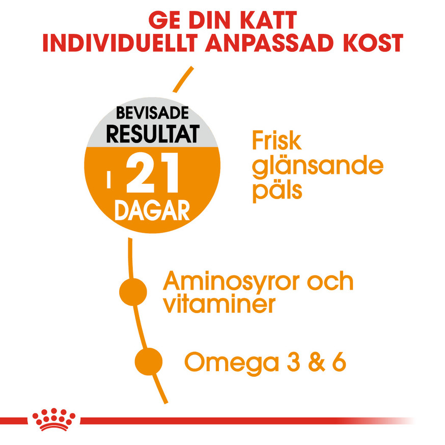 Hair & Skin Care Adult Torrfoder för Katt