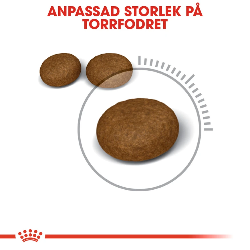 Hair & Skin Care Adult Torrfoder för Katt