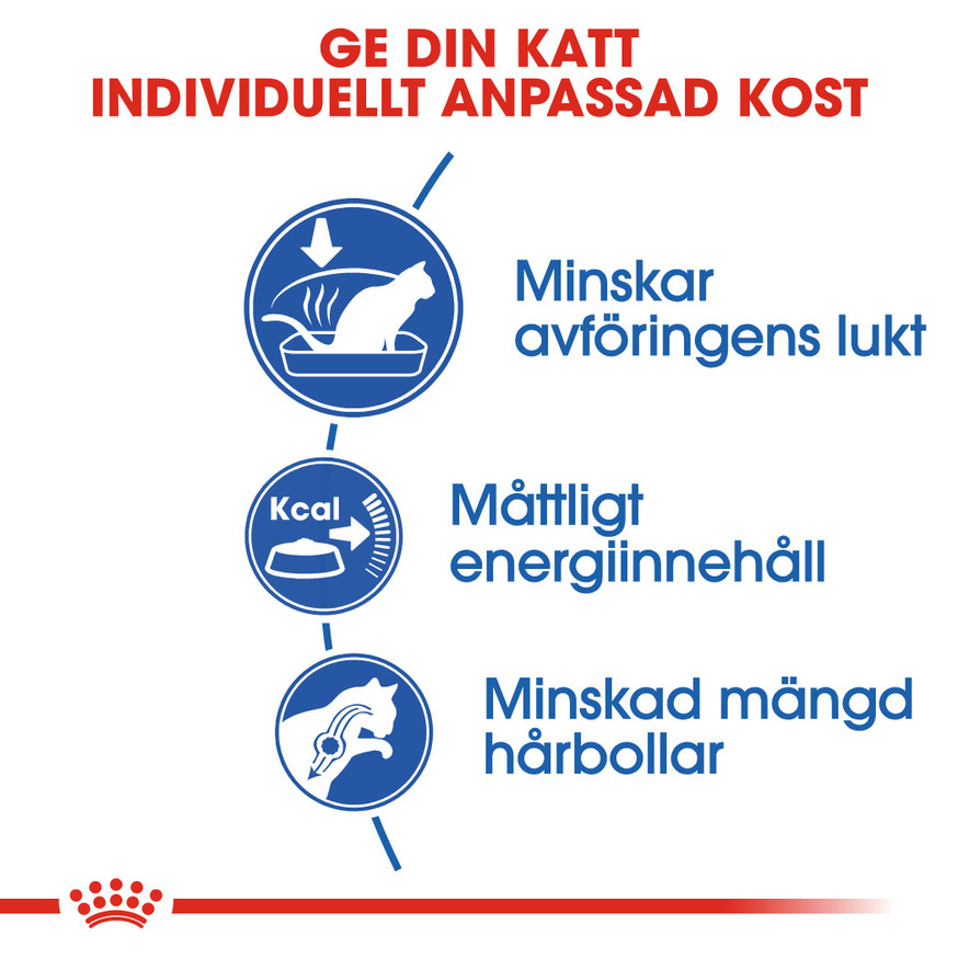 Indoor Adult Torrfoder för Katt