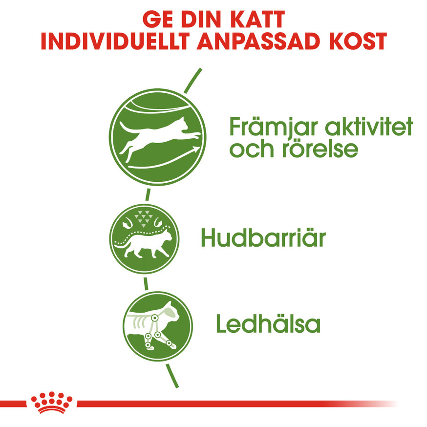 Outdoor Adult Torrfoder för Katt