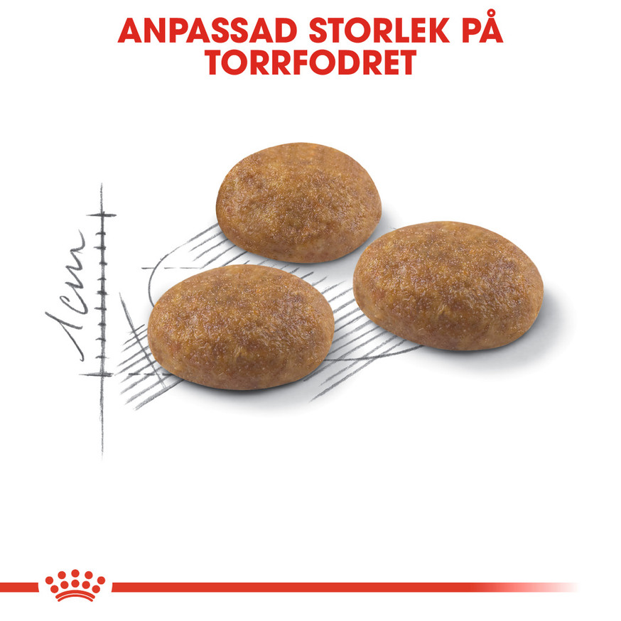 Outdoor Adult Torrfoder för Katt