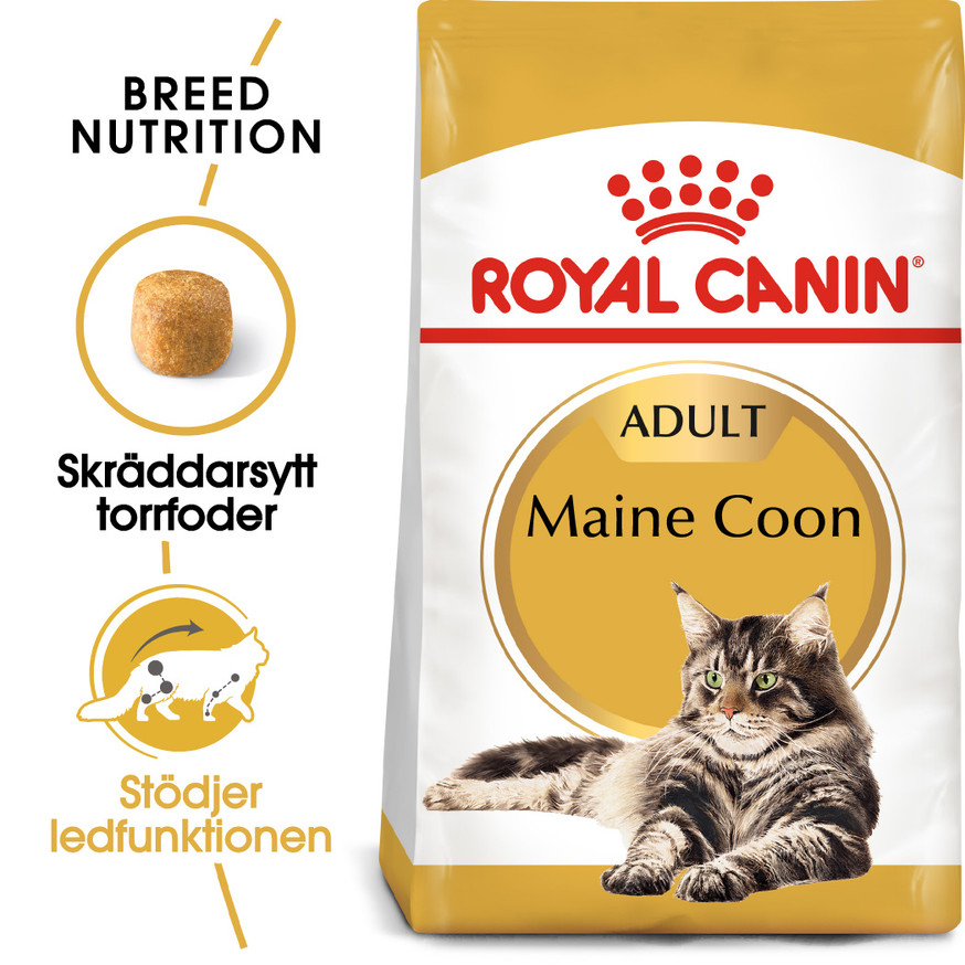 Maine Coon Adult Torrfoder för Katt