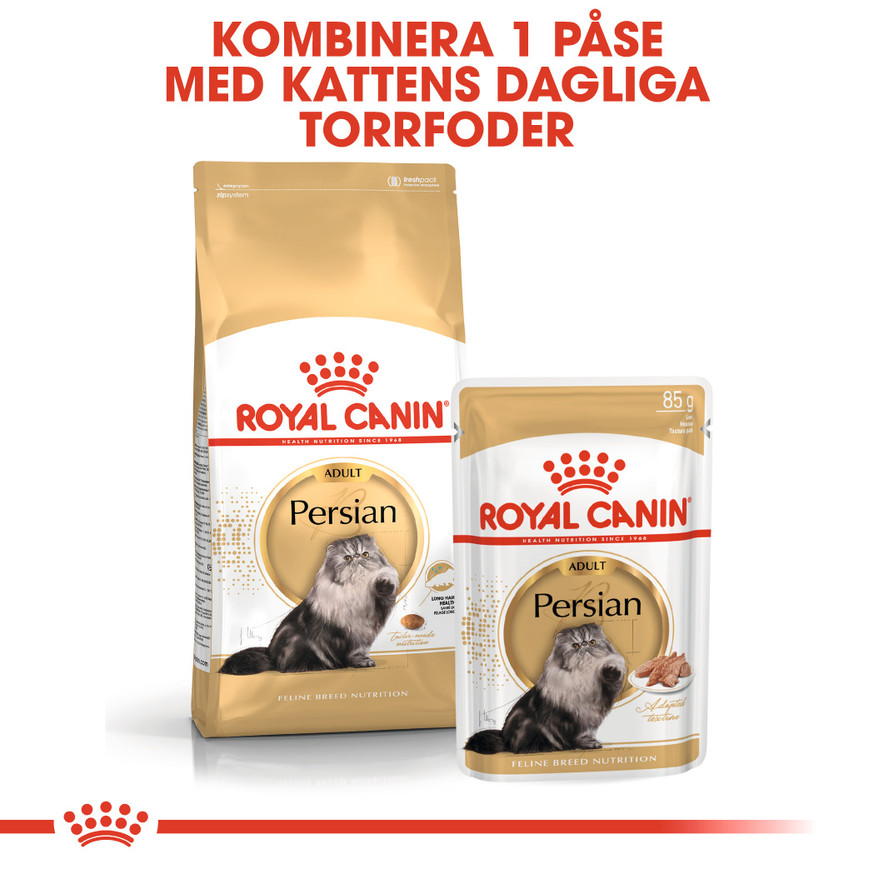 Persian Adult Torrfoder för Katt