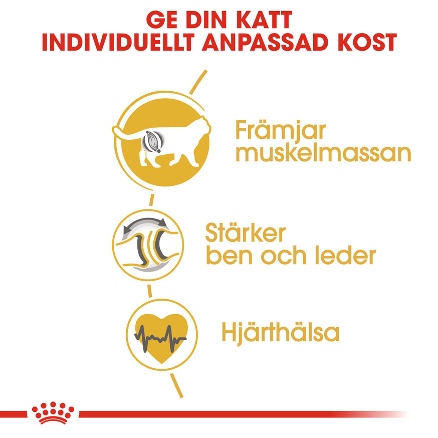 British Shorthair Adult Torrfoder för Katt
