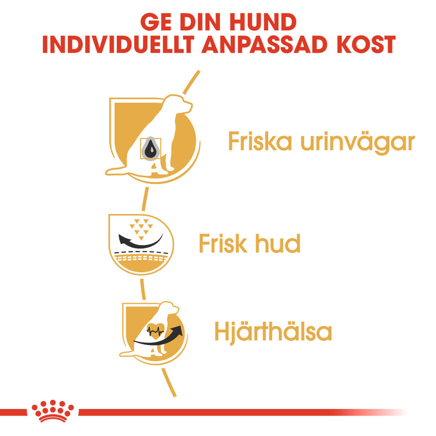 Dalmatian Adult Torrfoder för hund