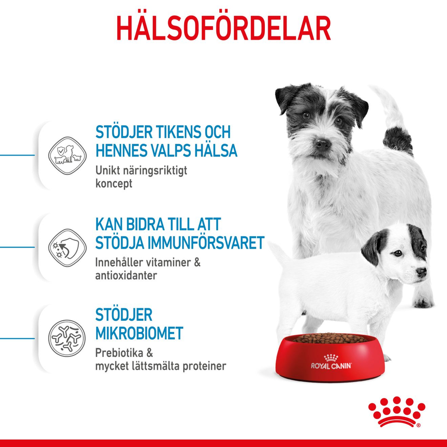 Mini Starter Mother & Babydog Torrfoder för hund