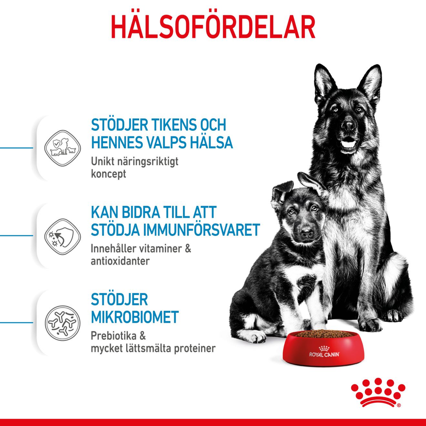 Maxi Starter Mother & Babydog Torrfoder för hund