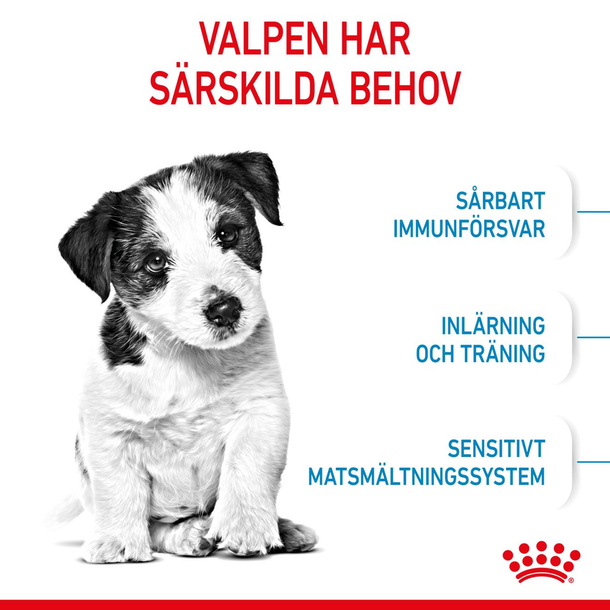 Mini Puppy Torrfoder för Valp