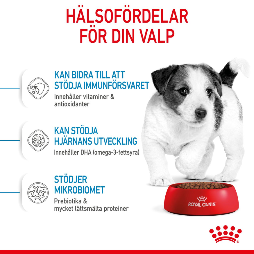 Mini Puppy Torrfoder för Valp