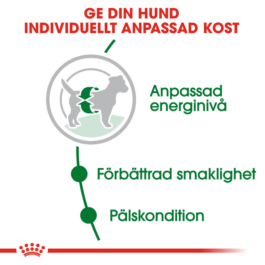 Mini Adult Torrfoder för hund