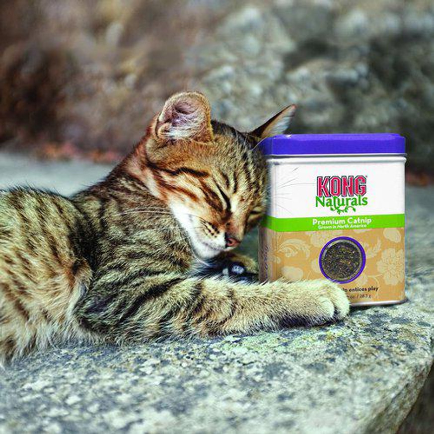 KONG Natural Catnip - 56 g