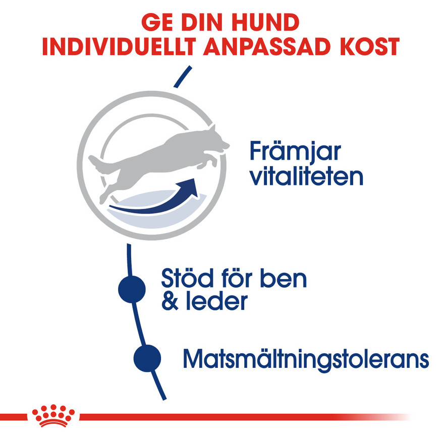 Maxi 5+ Adult Torrfoder för hund