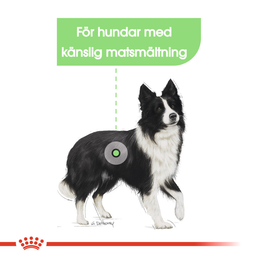 Digestive Care Adult Medium Torrfoder för hund