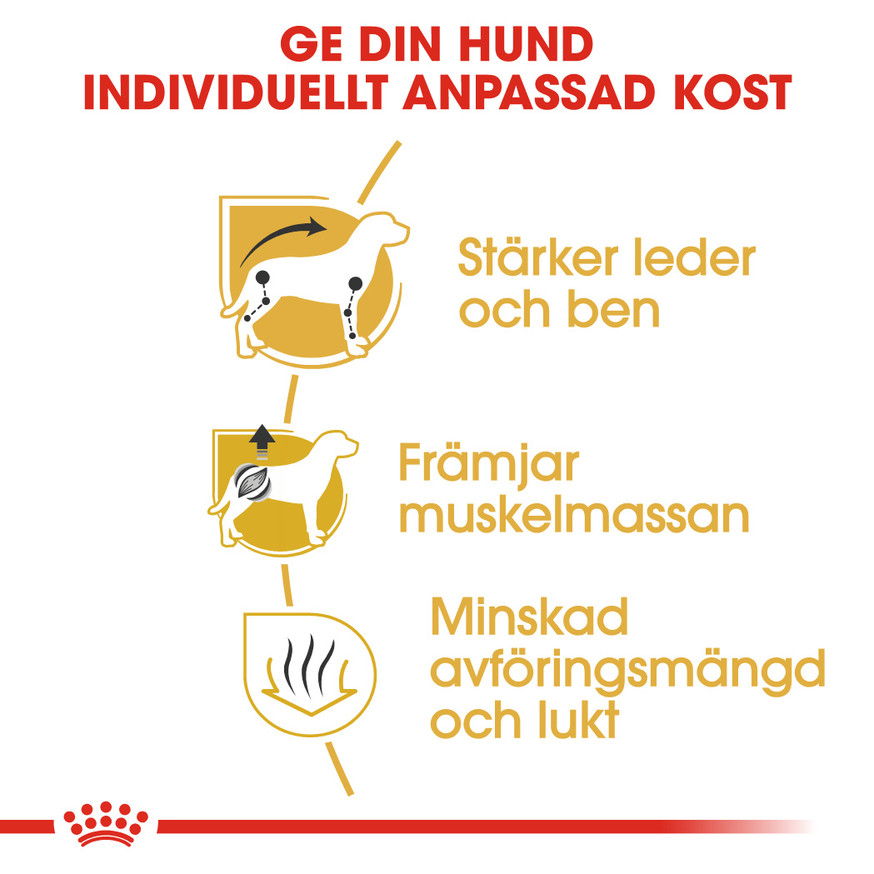 Dachshund Adult Torrfoder för hund