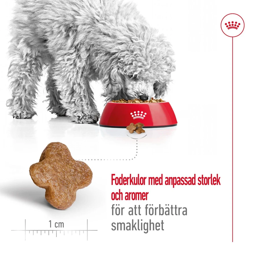 Mini 8+ Adult Torrfoder för hund