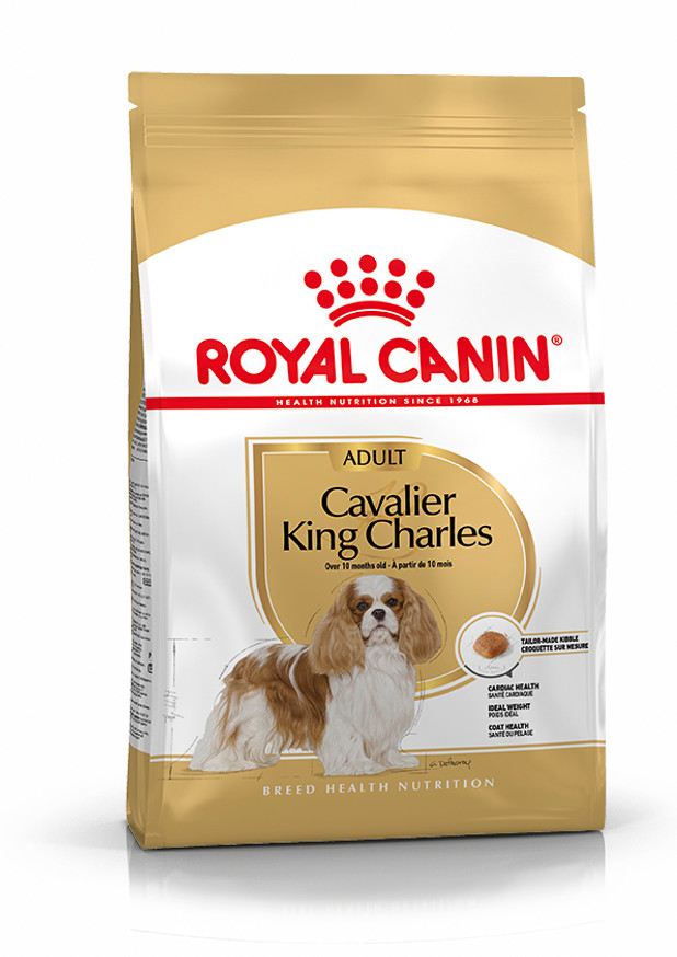Cavalier King Charles Adult Torrfoder för hund