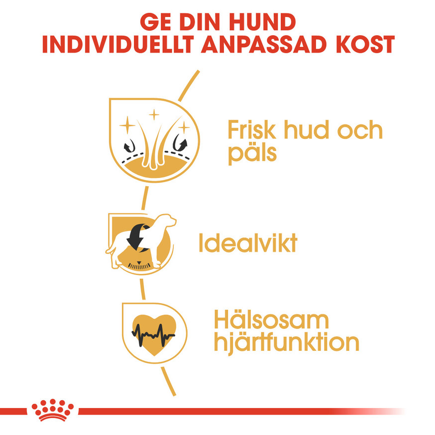 Cocker Adult Torrfoder för hund