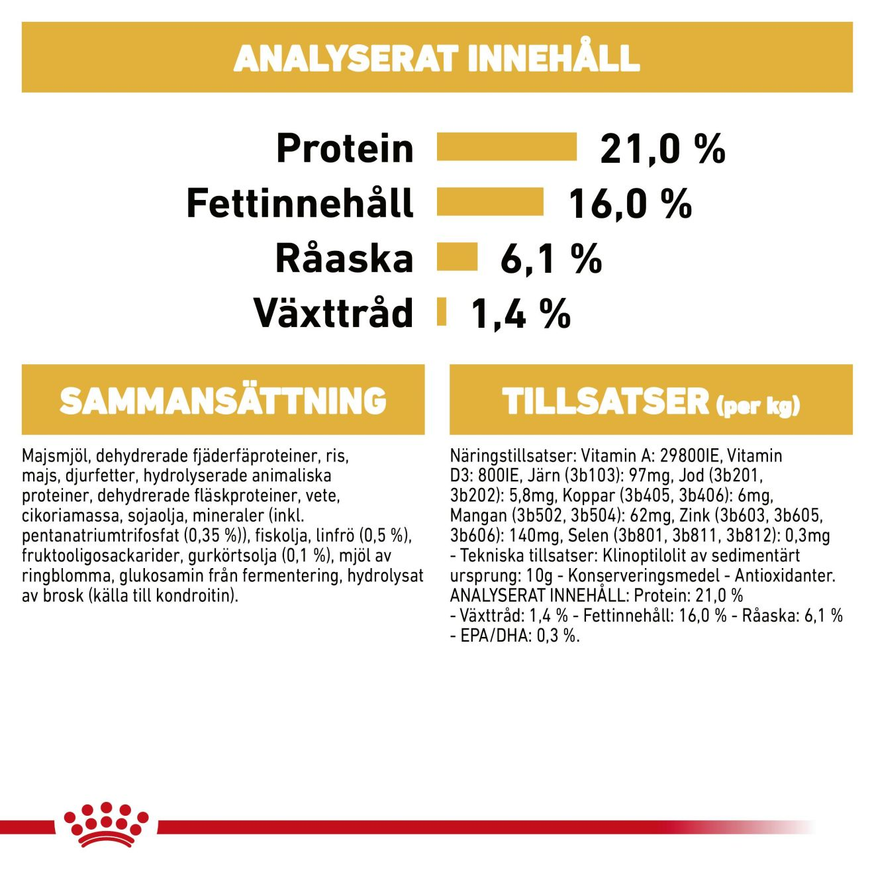 West Highland White Adult Torrfoder för hund