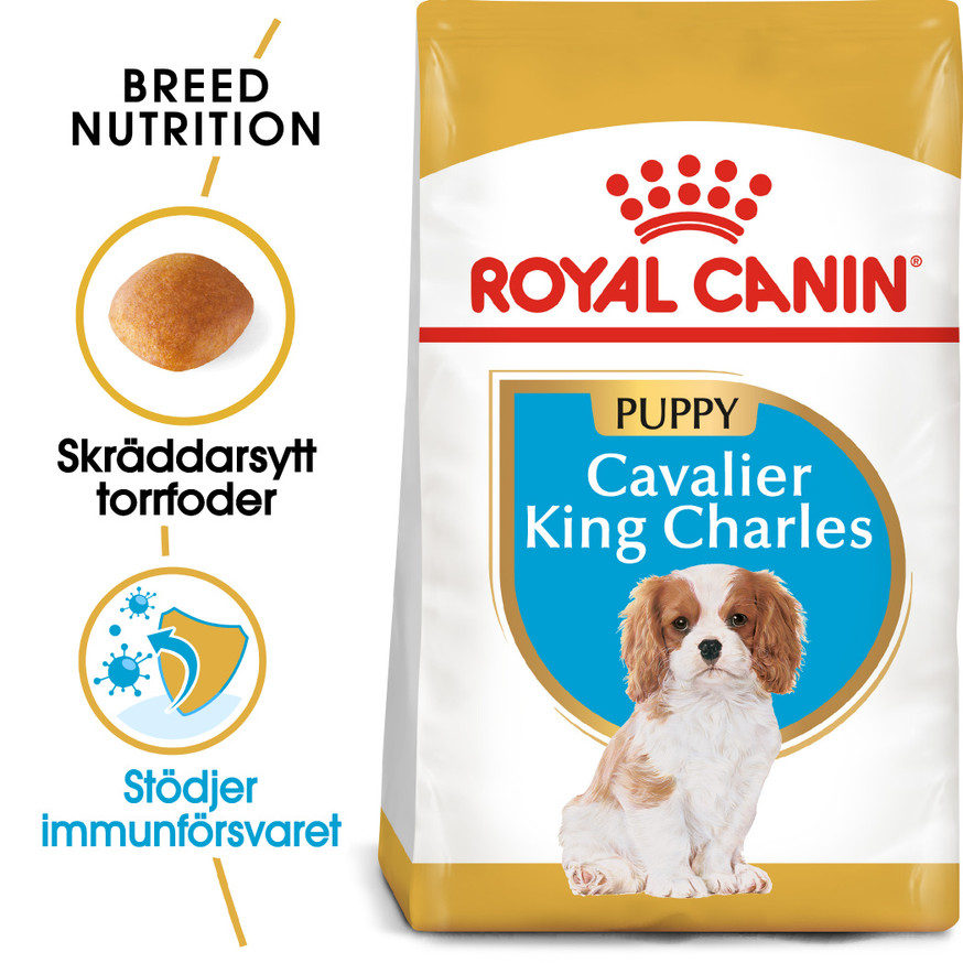 Cavalier King Charles Puppy Torrfoder för hundvalp