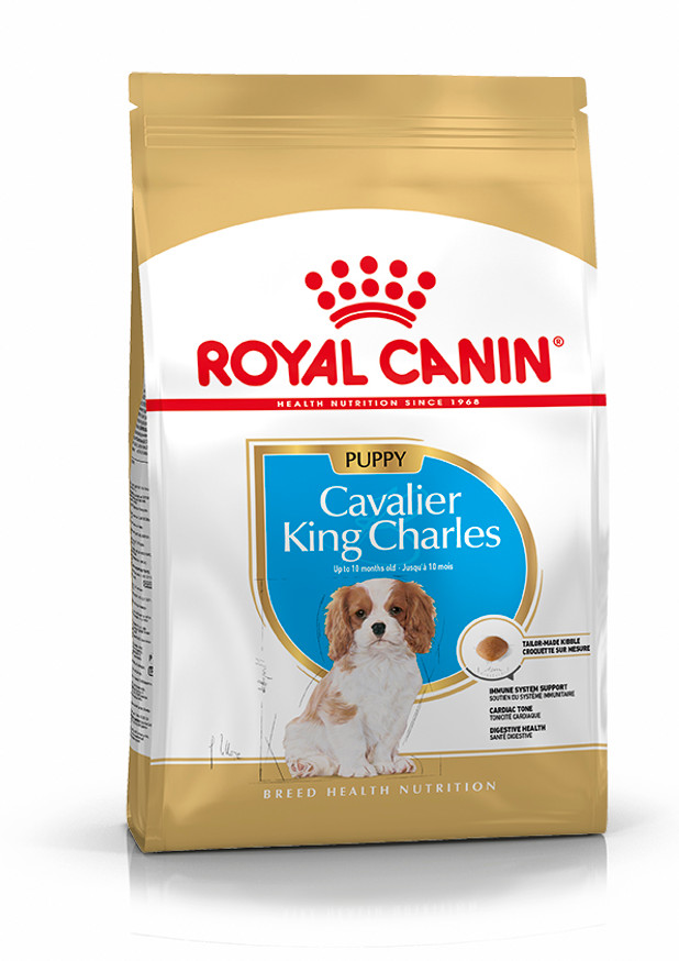 Cavalier King Charles Puppy Torrfoder för hundvalp