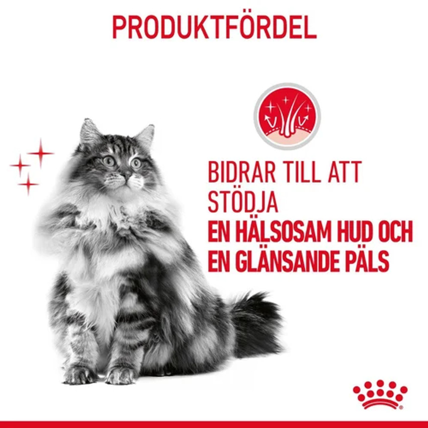 Hair & Skin Jelly Våtfoder för katt