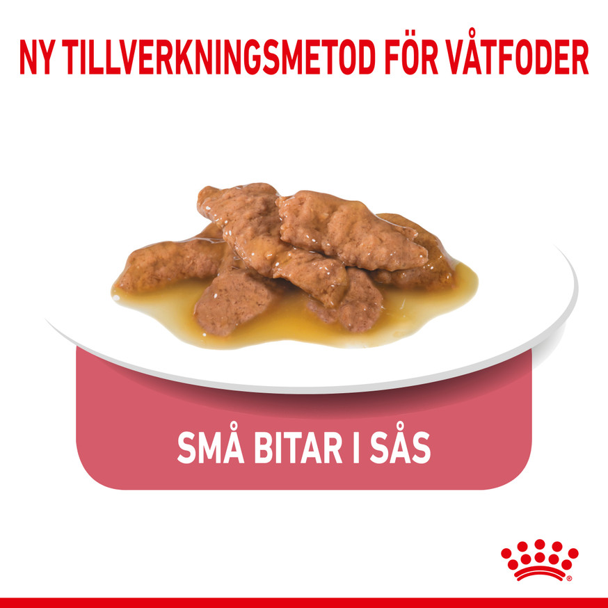 Indoor Sterilised Gravy Adult Våtfoder för katt