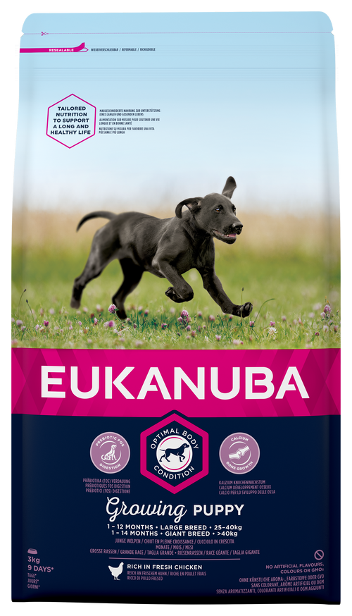 Dog Puppy Large - 3 kg