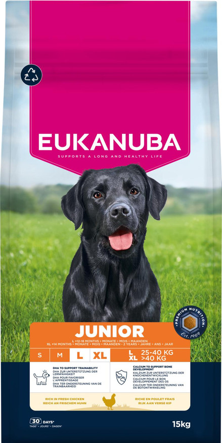 Dog Junior Large