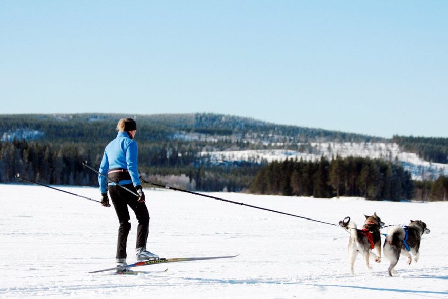 Softbelt Race Midjebälte