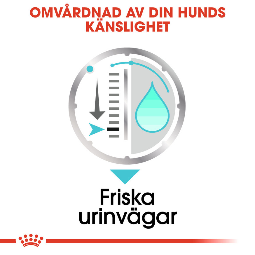 Urinary Care Adult Våtfoder för hund