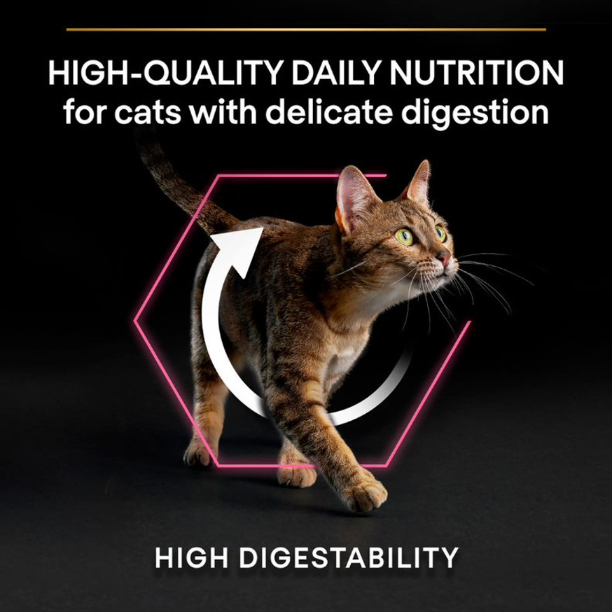 Adult Delicate Digestion Kalkon för katt