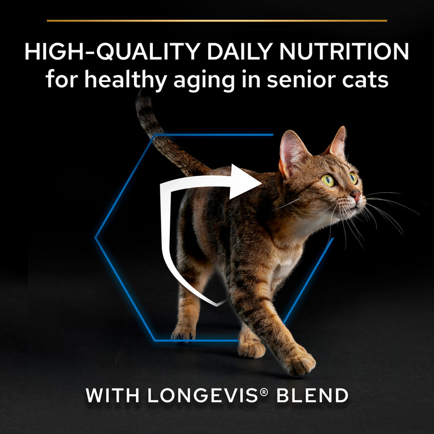 Sterilised Senior 7+ med LONGEVIS® Kalkon för katt