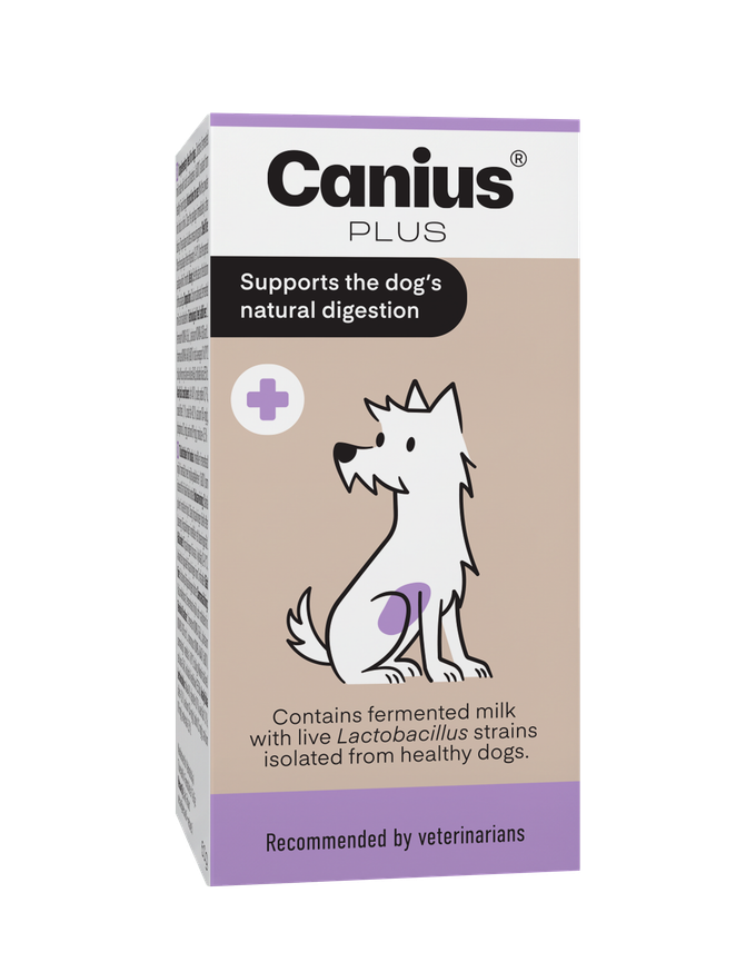 Canius Plus för obalans i hundens tarmflora - 60g