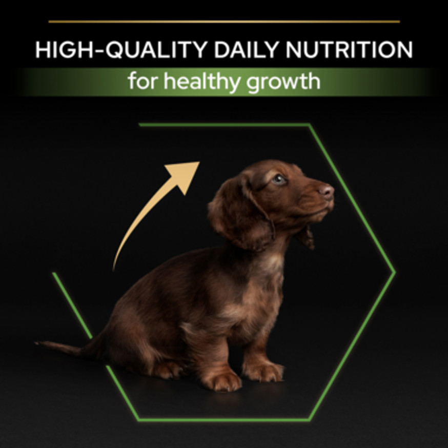 Small & Mini Puppy Healthy Start Torrfoder med Kyckling
