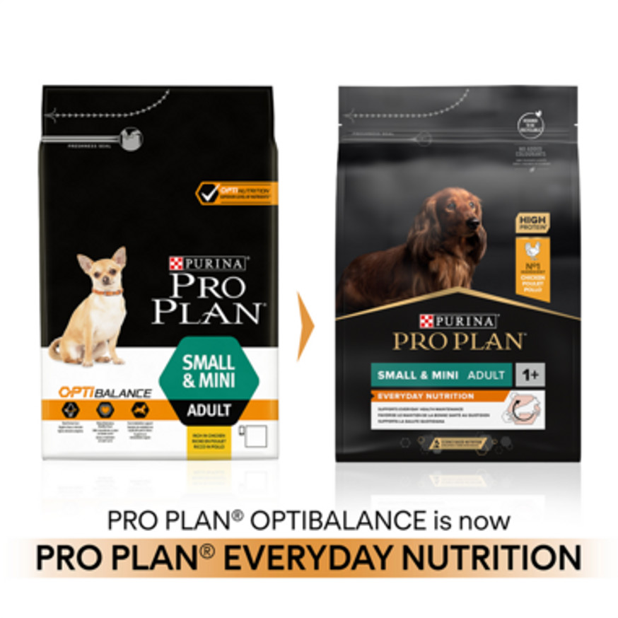 Small & Mini Adult Everyday Nutrition hundfoder