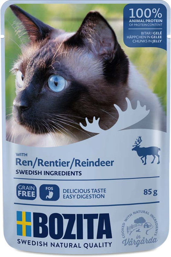 Ren i gelé för katt