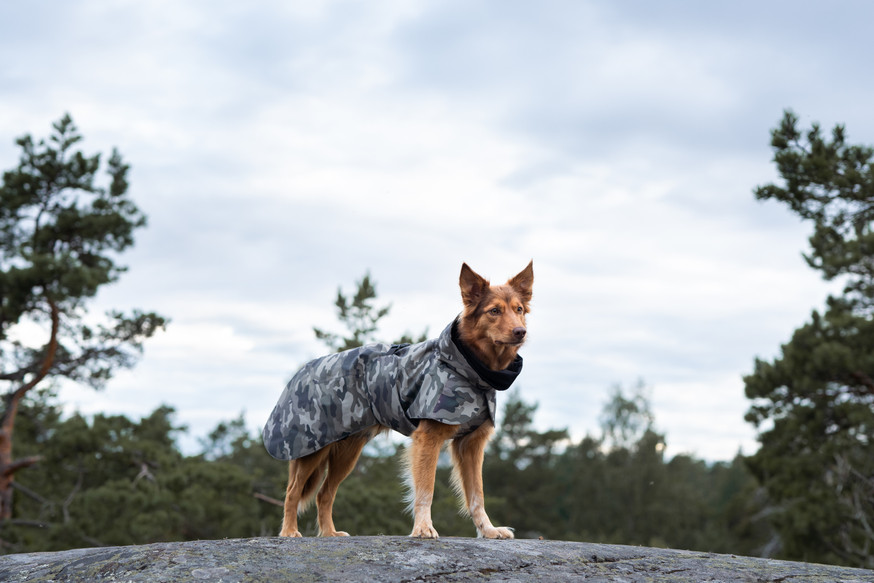 Reflekterande Vintertäcke, Camo