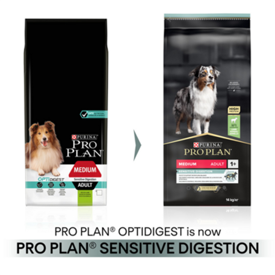 Medium Adult Sensitive Digestion Lamb för hund